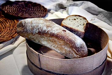 Pano Cafone del forno il Granaio Antico a Teramo