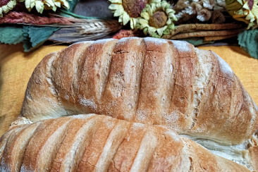 Pane Marsigliese napoletano del forno il Granaio Antico a Teramo